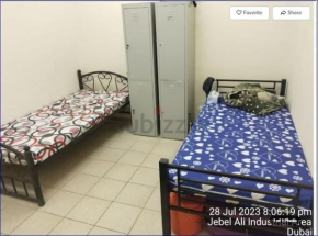 Studio Flat in AWS only Bachelor no family no children